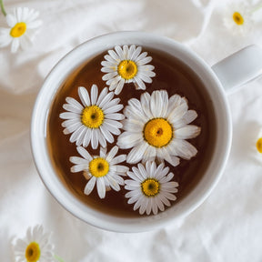 Camomile Tea